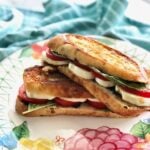 caprese panini on colorful plate