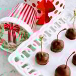 chocolate covered bourbon cherries on a white plate.