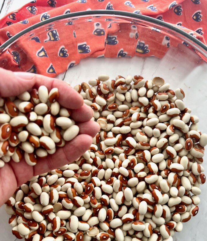 How to Cook Yellow Eye Beans Quiche My Grits