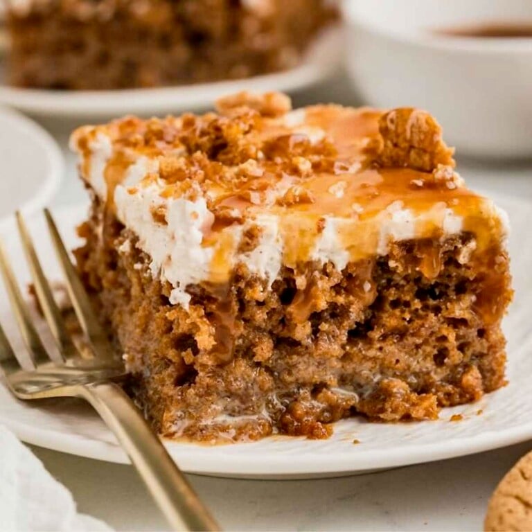 Gingerbread spice cake ready to eat on a plate.