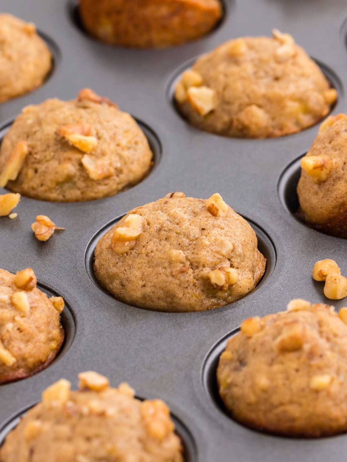 Mini banana nut muffins in a muffin tin, topped with chopped walnuts and lightly golden brown.