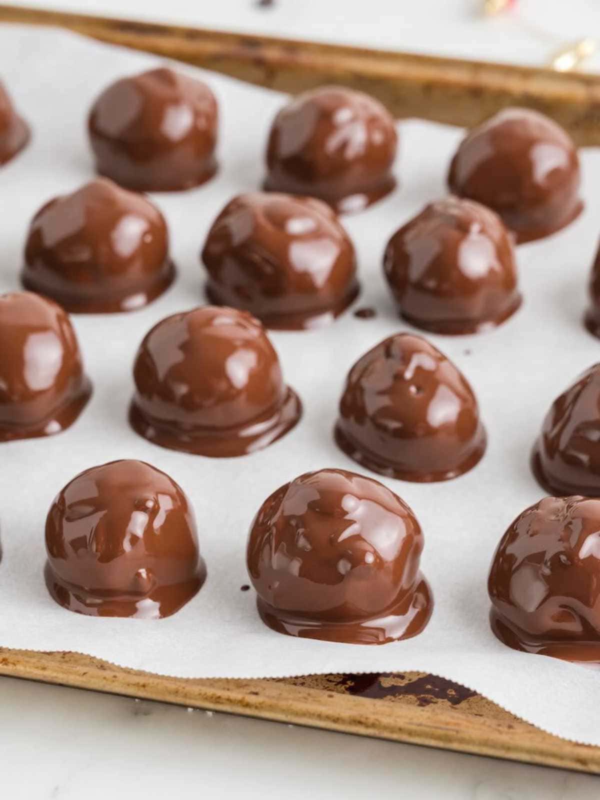 Rows of chocolate-covered peanut butter balls on parchment paper, set on a baking sheet, ready to cool or set.