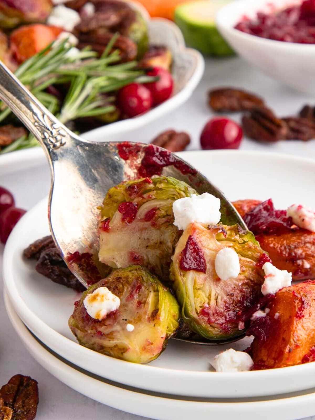 A spoon holding Brussels sprouts with cranberries and goat cheese over a white plate, garnished with rosemary.