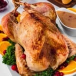 Roast turkey on a platter with oranges, cranberries, parsley, stuffing, gravy, bread, and cranberry sauce.