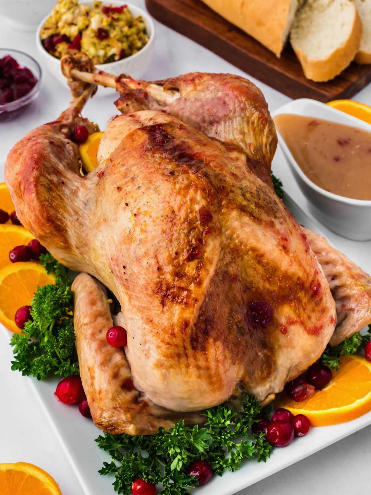 Roast turkey on a platter with oranges, cranberries, parsley, stuffing, gravy, bread, and cranberry sauce.