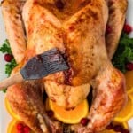 Roast turkey being glazed with a brush, garnished with orange slices, parsley, and cranberries.