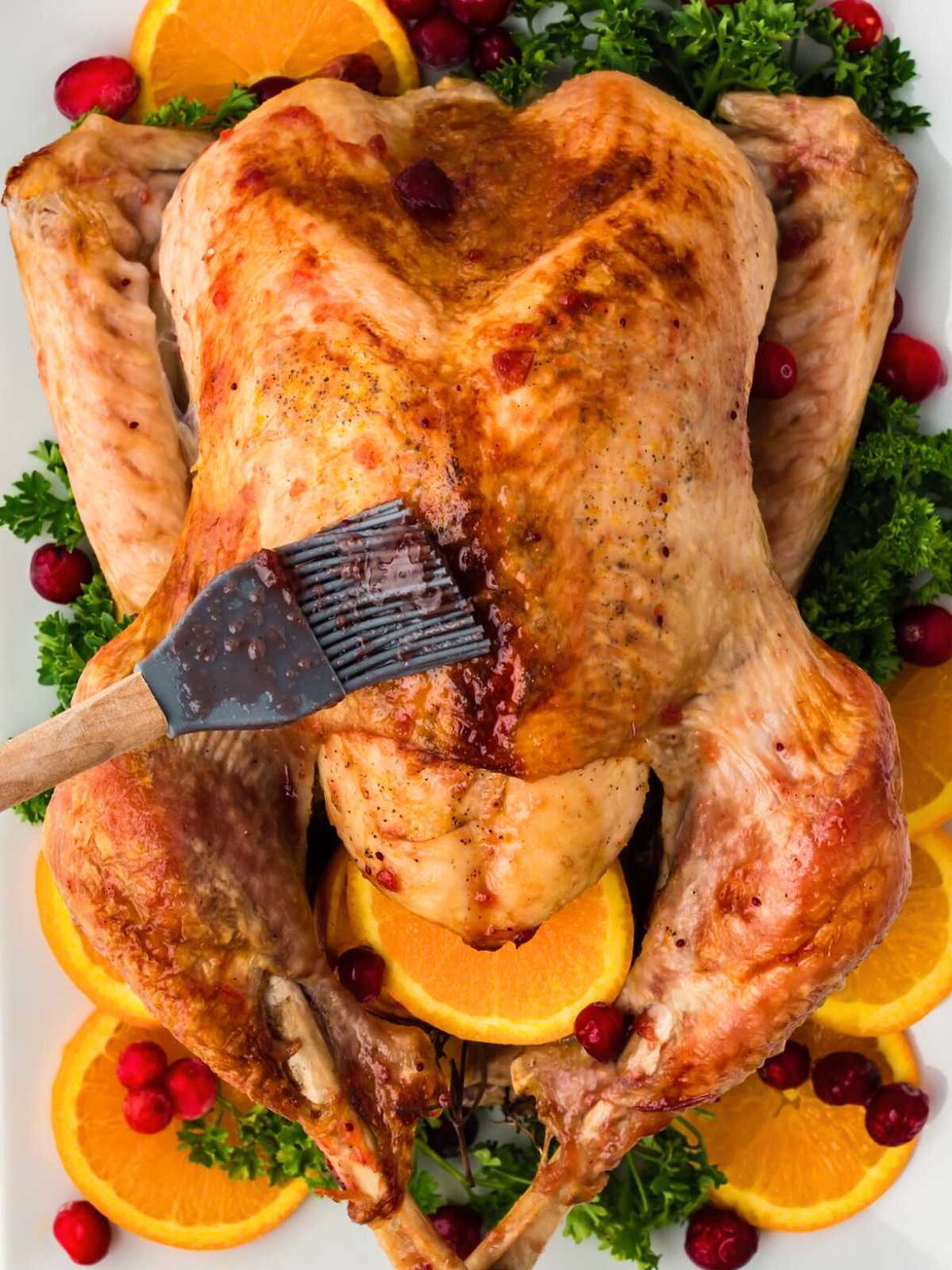 Roast turkey being glazed with a brush, garnished with orange slices, parsley, and cranberries.