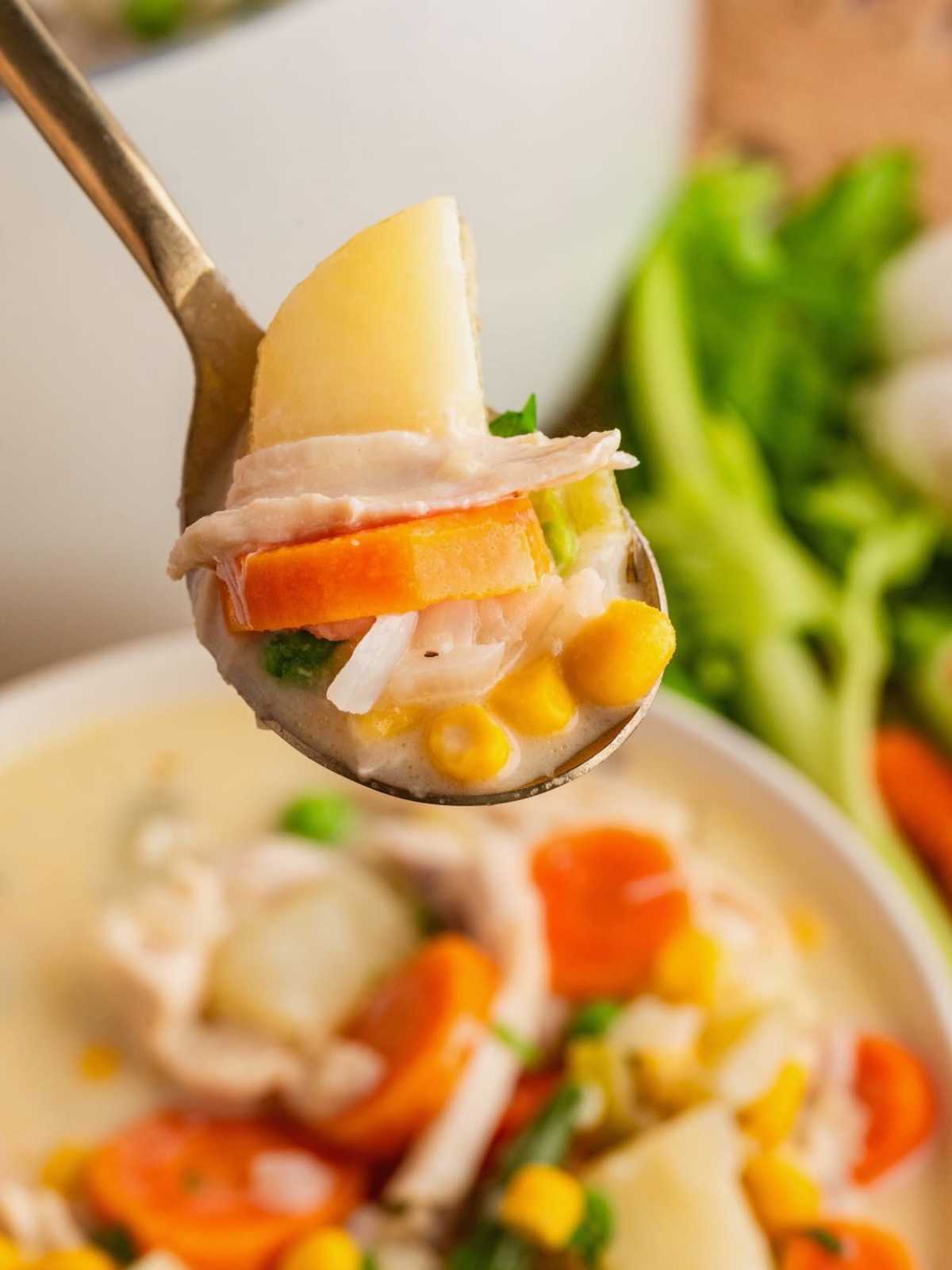 A spoonful of creamy soup with potato, carrot, corn, chicken, and rice above a bowl of similar soup.