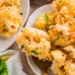 Close-up of baked cauliflower casserole with golden breadcrumbs, served on a white plate with a fork.