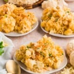 Plates of baked cauliflower gratin with golden breadcrumbs, surrounded by fresh cauliflower and herbs.