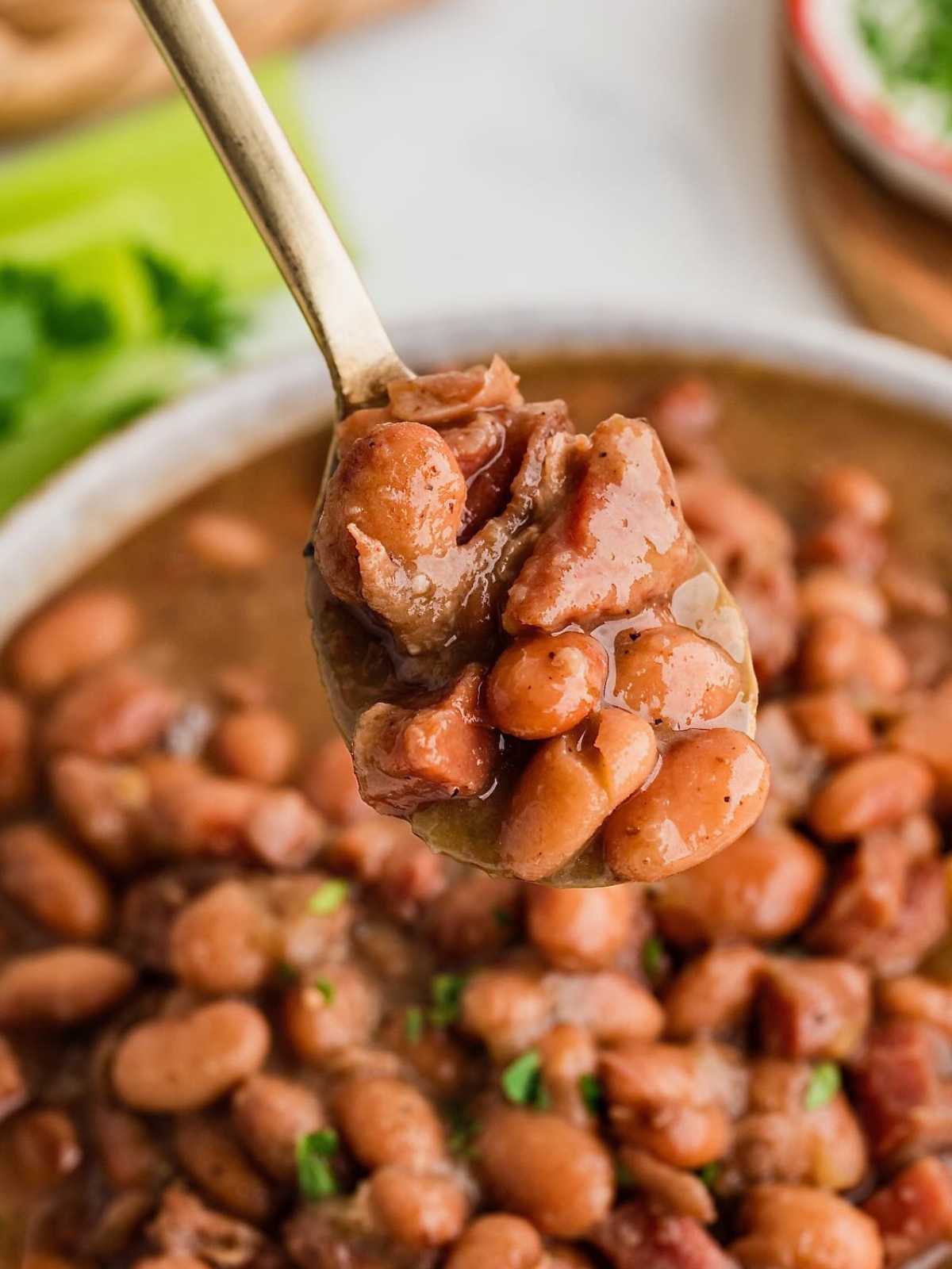 A spoonful of cooked pinto beans in a thick, seasoned sauce held over a bowl of beans.