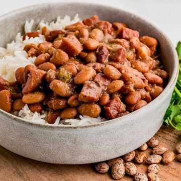 A bowl of pinto beans and meat served over white rice, with cilantro and dry beans on the side.