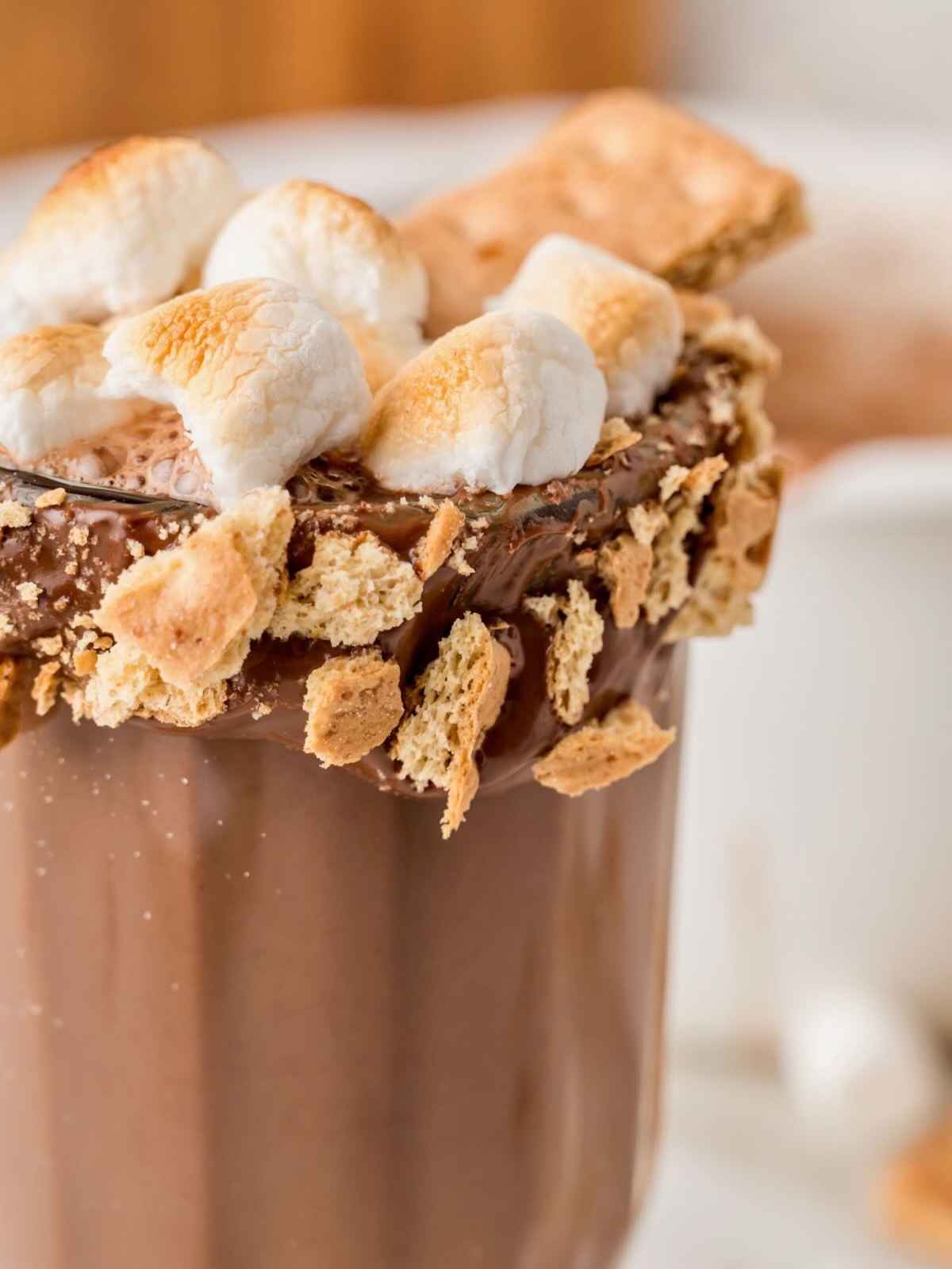 S'mores Hot Chocolate with marshmallows and graham crackers.